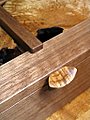Handle and Burls Close-Up